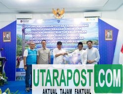 Sumbang Devisa, Tambak Udang OKI Dipasok Listrik Andal