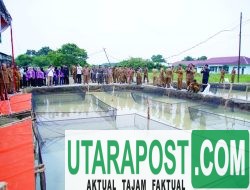 Optimalkan Aset Tak Terpakai, Pemkab Muba Tanam Sawit dan Tebar 10 Ribu Benih Lele