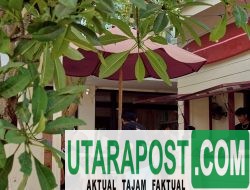 Keseruan Seputar Sirkuit Mandalika, MILK Café Hadir Sebagai Ruang Singgah Favorit di Kuta