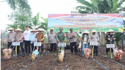 Dukung Swasembada Pangan 2026, Pemkot Lubuklinggau Hadiri Tanam Raya Kuartal I 