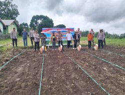 Dukung Swasembada Pangan, Kapolres Lombok Utara Pimpin Penanaman Jagung Serentak Kuartal I 2026 di Kayangan