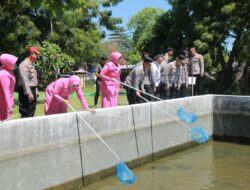 Kapolda NTB Pimpin Panen Ikan di SPN Belanting, Dukung Program Ketahanan Pangan Nasional
