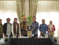 Bupati OKI Suarakan Kesejahteraan Guru PPPK Paruh Waktu ke Komisi X DPR RI