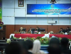 Wujud Sinergi dan Kolaborasi Antar Kabupaten, Bupati Banyuasin Hadiri HUT Lahat ke-157