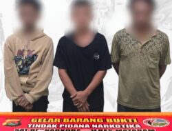 Polisi Ringkus Tiga Pria di Karang Bagu dengan Sabu Siap Edar, Satu Diantaranya Residivis Narkoba