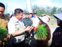Hadapi El Nino, OKI Jadi Lokus Utama Percepatan Tanam Padi Sumsel, Target 111 Ribu Hektare