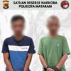 Gagalkan Peredaran Ganja 653 Gram, Satresnarkoba Polresta Mataram Bekuk Dua Pria di Lingsar dan Ampenan