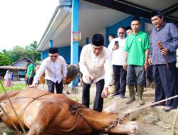Bupati Muba Tinjau Penyembelihan Kurban di Sungai Angit, Dua Sapi Limosin Diserahkan untuk Warga
