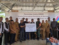 Program PLN Peduli, PLN NP UP Bukit Asam Salurkan Bantuan Tahap II untuk Usaha Peternakan Kambing Al Baroqah