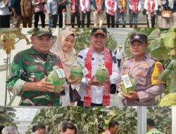 Danramil 404-05/Tanjung Enim Hadiri Peresmian Smart Greenhouse dan Panen Raya Melon Program Lingga Smart GROW