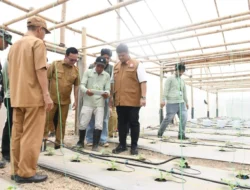 Program Sinar Bohlam Hadirkan Smart-Greenhouse Melon Banyuasin Pertama di Sumatera Selatan