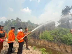Waspada Kebakaran di Banyuasin! Ini Imbauan Wabup Netta Indian