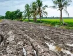 Rp8 Miliar di Atas Kertas, Muara Telang Tetap Berkubang Lumpur: Rakyat Menagih Janji