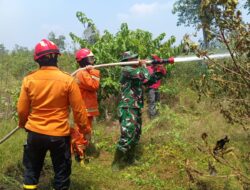 Kesekian Kalinya Karhutla Terjadi di Muba, BPBD Selalu Siaga Padamkan Api