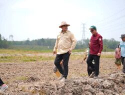 Pastikan Kecepatan dan Kualitas Pengerjaan, Bupati Askolani Tinjau Lokasi Cetak Sawah di Banyuasin III