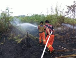Dua Hari Karhutla Lahap 11,5 Hektare Lahan, BPBD Muba Kerahkan Puluhan Personel