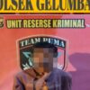 Diduga Nyolong Getah Karet 50 Kg, Pria Berinisial A Diringkus Unit Reskrim Polsek Gelumbang di Rumahnya