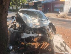 Ayla Ringsek Hantam Pohon di Jalan Jagapati, Polsek Gunungsari Amankan TKP