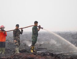 Hujan Bantu Pemadaman Karhutla di OKI, Satgas Lanjutkan Pendinginan