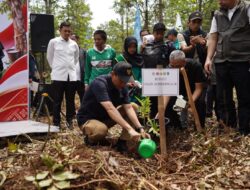 Dua Dekade Bebas Karhutla, Restorasi Lahan Gambut di Sepucuk OKI Jadi Rujukan Nasional